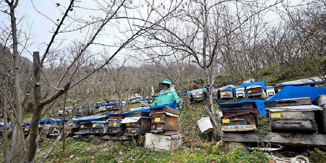 45 yıldır ata mesleğini sürdürüyor! Eğitim ve destekle işini büyüttü: Yılda 1 ton üretime ulaştı 2
